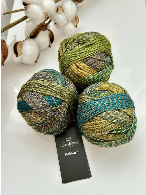 Three multicolored balls of Schoppel-Wolle Edition 3 yarn in green, blue, yellow, and gray rest on a white surface beside a sprig of cotton. A black label with the product name is partially visible underneath them.