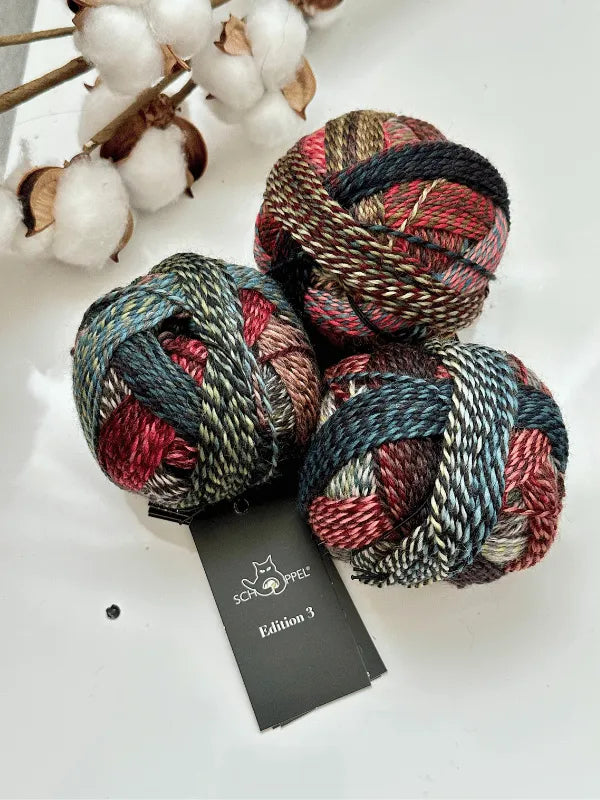 Three multicolored balls of Schoppel-Wolle Edition 3 yarn in red, green, blue, and beige are arranged on a white surface near cotton branches. A black tag with the product name is visible beneath the yarn.