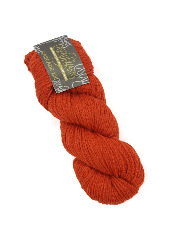 Joh beanie pattern + Cascade 220