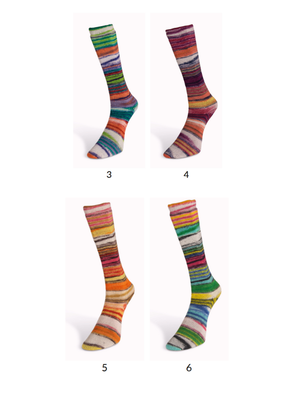 Laines Du Nord Eclectic sock