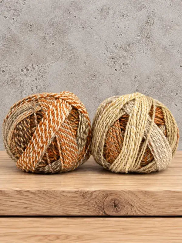 Two balls of Schoppel-Wolle Edition 3 variegated yarn in shades of brown, tan, and cream sitting on a wooden surface.