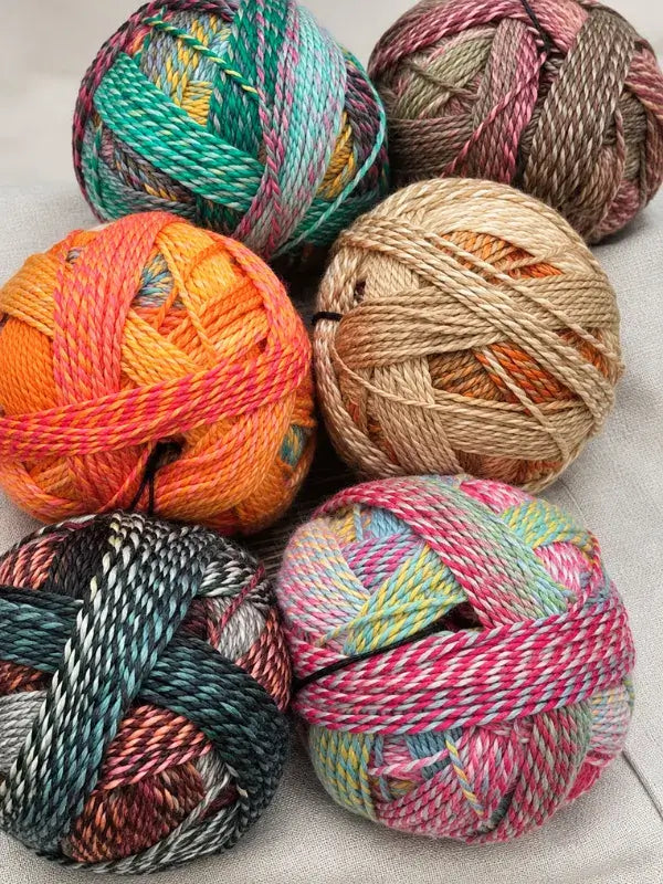 Six balls of Schoppel-Wolle Edition 3 variegated yarn arranged in two rows.